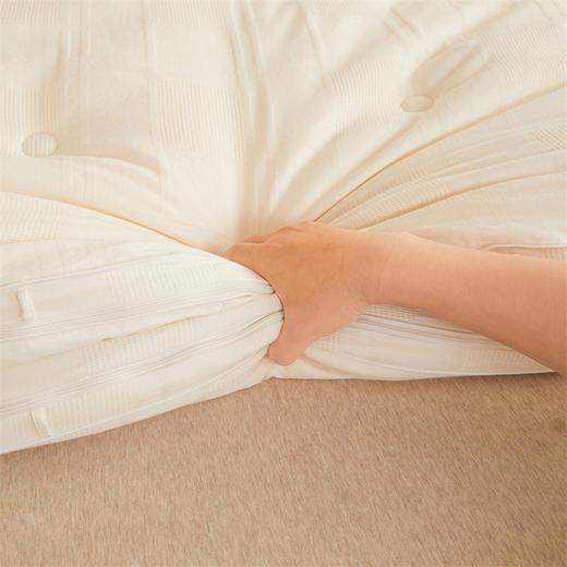 A类母婴级全棉李官奇55%大豆纯棉大豆纤维被春秋加厚冬被 商品图1