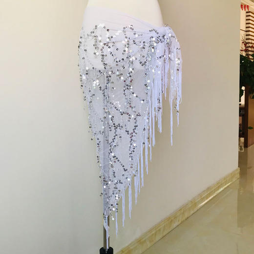 【初心】便宜但好看，最后只留一条就是它。肚皮舞经典好搭流苏亮片臀巾 商品图2