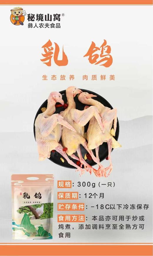 冻品-彝人农夫乳鸽300g/只 商品图0
