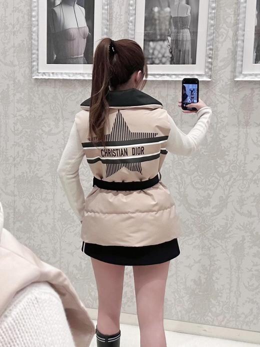 D家 24Fw秋冬新款阿尔卑斯Alps滑雪限定插扣腰带棉服马甲（UY*DQJB) 商品图1