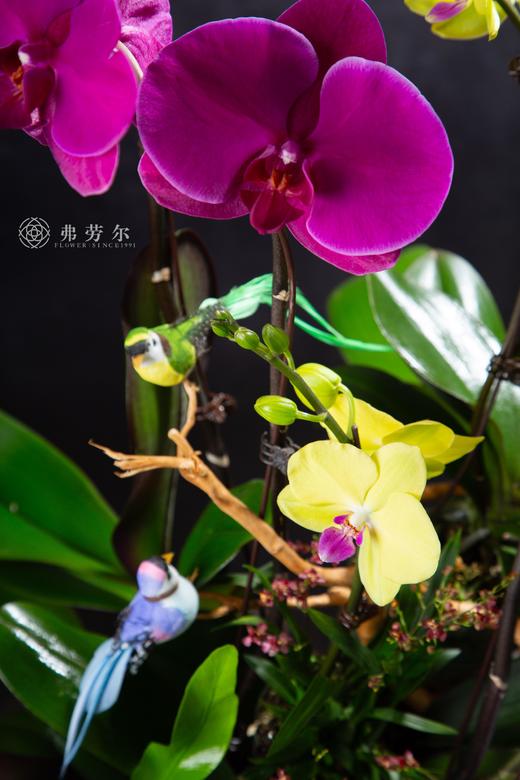 恭喜发财 商品图1