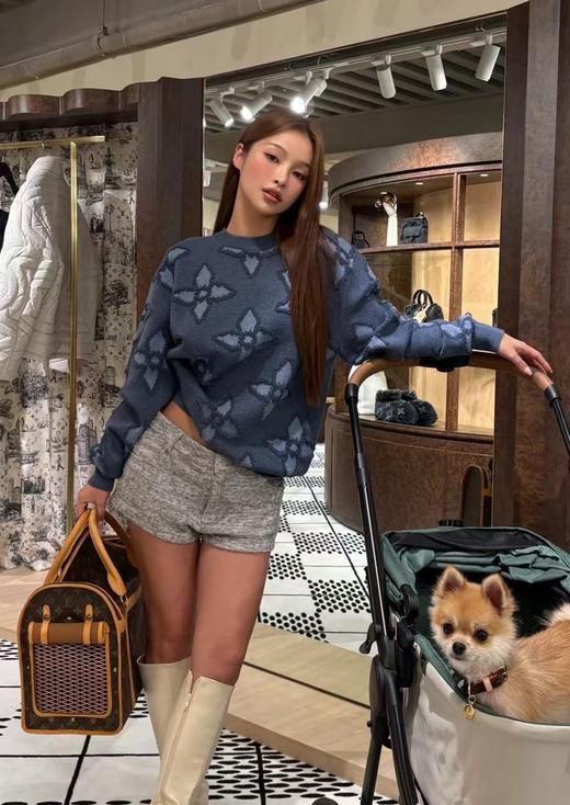 驴家 提花毛衣 商品图0