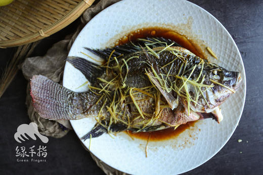 生态罗非鱼 | 合作生产 * Eco- tilapia | Coproduction 商品图2