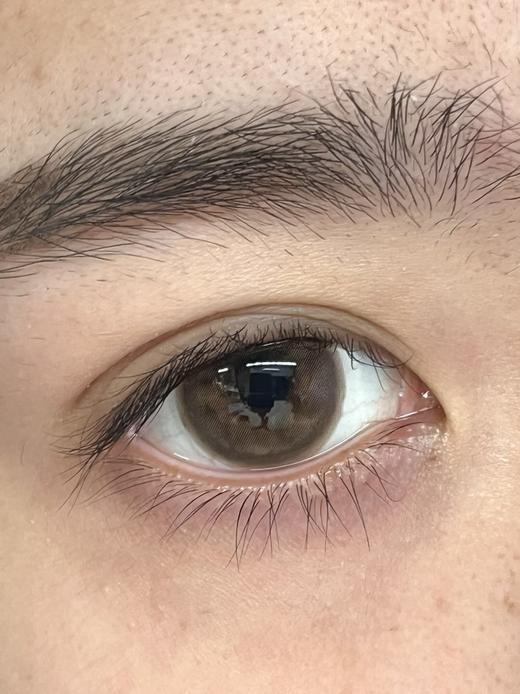 Mixlook半年抛-可可朱古力 商品图1