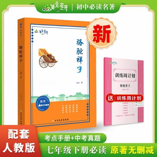 2025语文花开初中七下必读名著钢铁是怎样炼成的骆驼祥子 商品图2