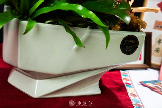 恭喜发财 商品图2