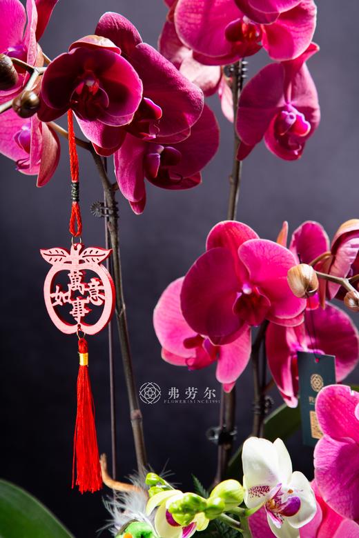 花开富贵 商品图2