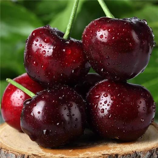 进口车厘子4J小件(2.5kg) 商品图2