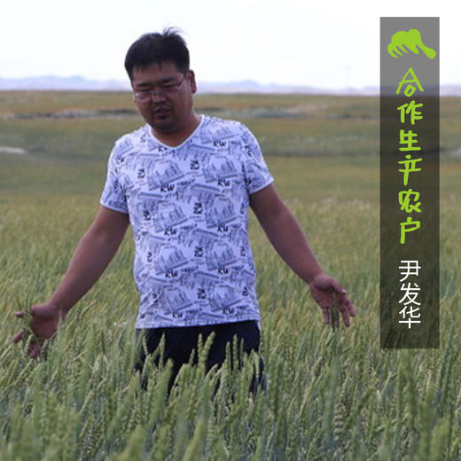 生态红光头空心挂面|合作生产 * Eco-Salt-free red hollow noodles| Coprodution 商品图5