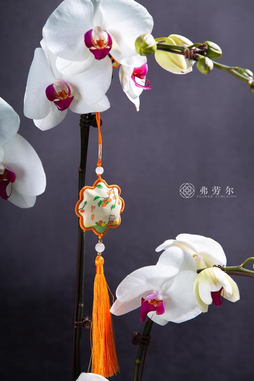 喜事连连 商品图1