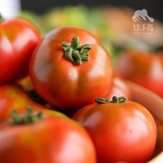 生态草莓西红柿 | 绿家自产*Ecological tomato | In-House Production 商品图1