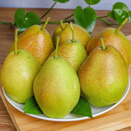 香梨（小礼盒）约6kg/件 商品图1