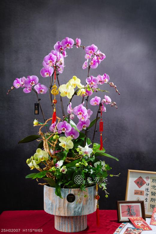 好运到家 商品图0