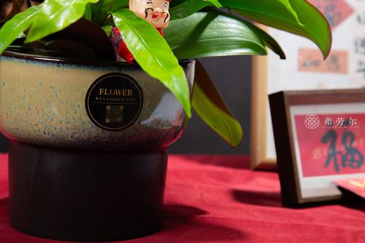 喜气洋洋 商品图2