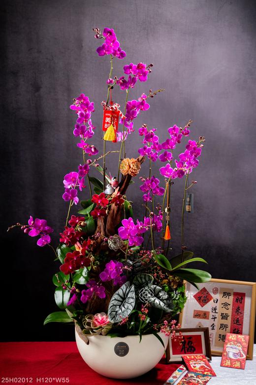 开门见喜 商品图0