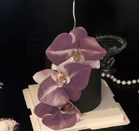 酷黑紫色蝴蝶兰小双层蛋糕
