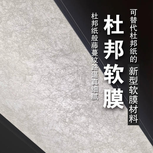 杜邦纸软膜 商品图0