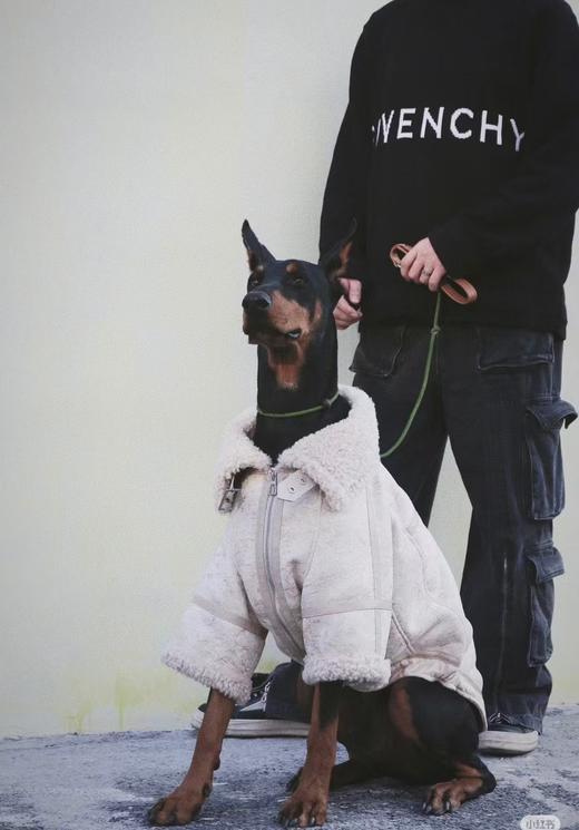 GIVENCHY经典4G大logo毛衣 商品图7