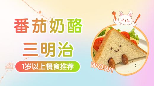 1岁以上：番茄奶酪三明治 商品图0