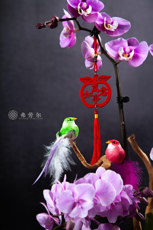 喜气洋洋 商品图3