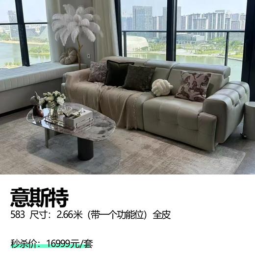 意斯特 583 尺寸：2.66米（带一个功能位）全皮 商品图0