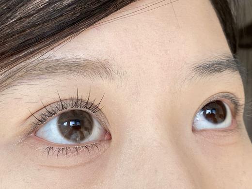 Mixlook半年抛-可可朱古力 商品图8