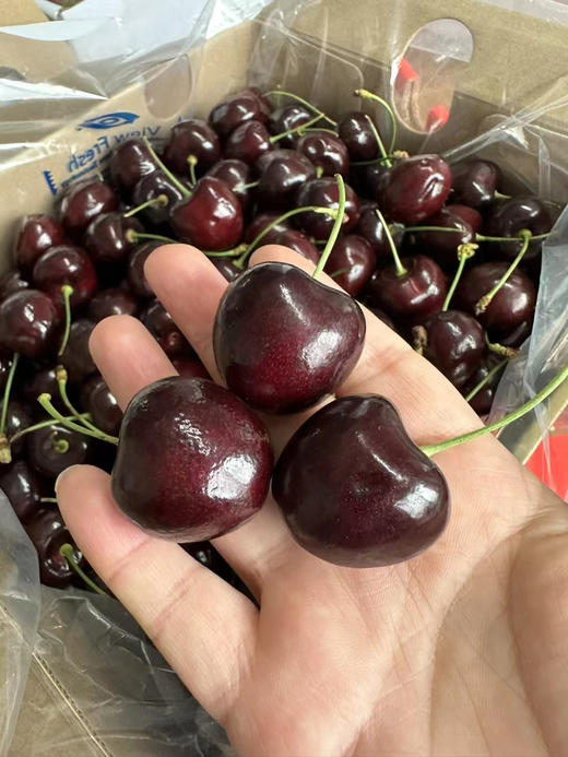 【进口】4JDD！超大，脆脆的好货，智利黑车，皮薄个大水份多，清甜可口好迷人！ 商品图3