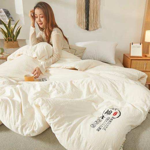 A类原棉大豆纤维被子厚款被芯 商品图1
