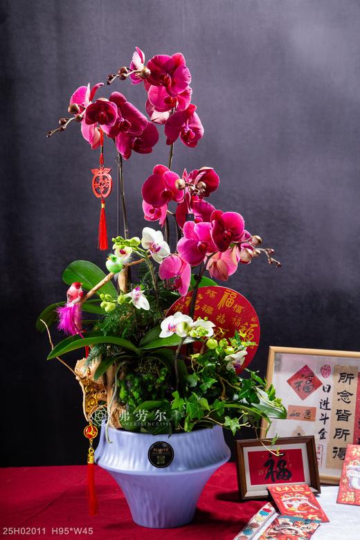 花开富贵 商品图0