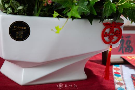 福旺财旺 商品图3