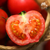 生态草莓西红柿（广州） | 合作生产*Ecological tomato | Partner Production 商品缩略图1