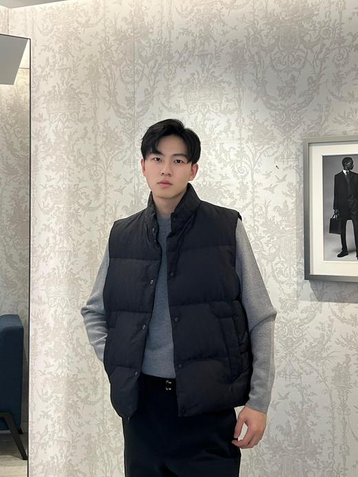 D家 24FW秋冬新款Oblique提花羽绒马甲男女同款（UY*DQJB) 商品图1