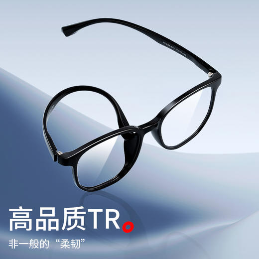 普莱斯PR3005 TR90 多边形全框 商品图2