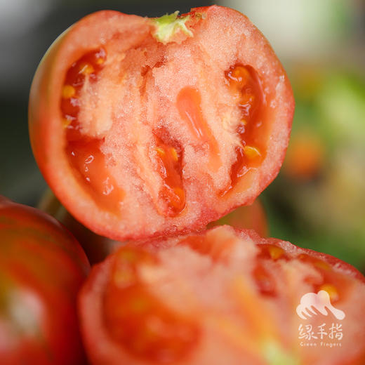 生态草莓西红柿 | 绿家自产*Ecological tomato | In-House Production 商品图3