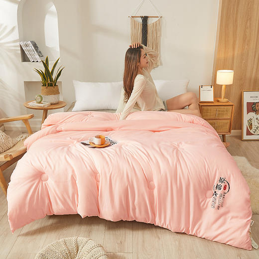 A类原棉大豆纤维被子厚款被芯 商品图3