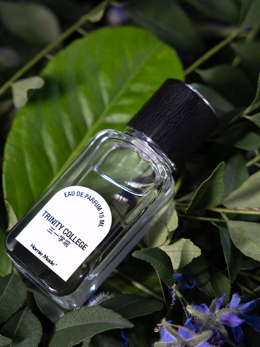 三一学院香水 商品图4