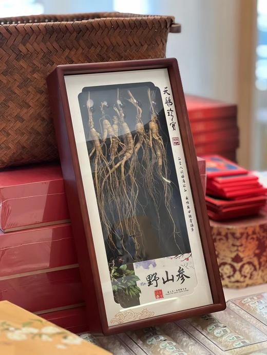 林下参礼盒（6-8支） 商品图0