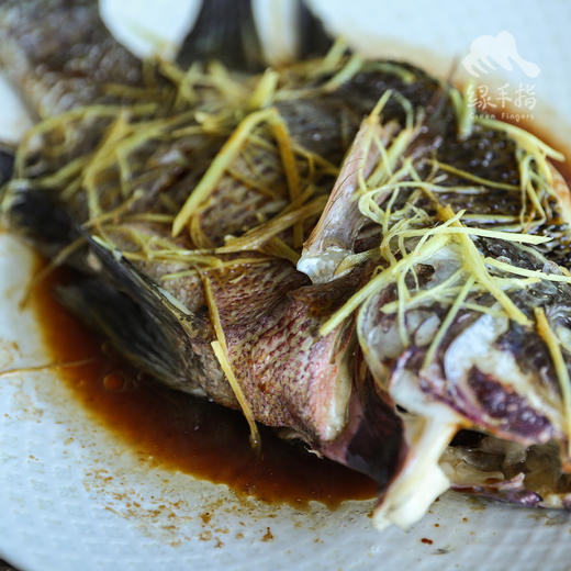 生态罗非鱼 | 合作生产 * Eco- tilapia | Coproduction 商品图1