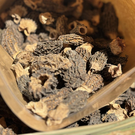 云南深山羊肚菌 干货 商品图6