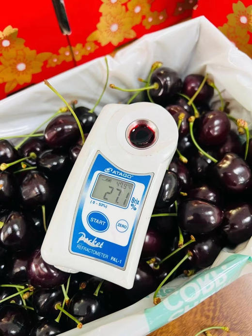 新西兰空运科迪亚4斤（26-28mm） 商品图1