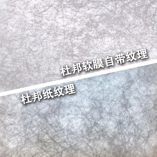 杜邦纸软膜 商品图3