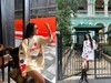 Balenciag*a满饰提花套头高领毛衣 商品缩略图4