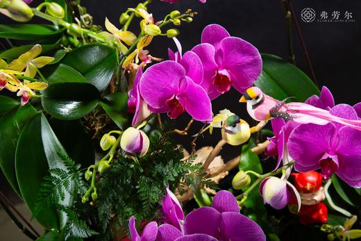 福旺财旺 商品图1