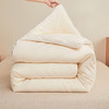 A类母婴级全棉李官奇55%大豆纯棉大豆纤维被春秋加厚冬被 商品缩略图3