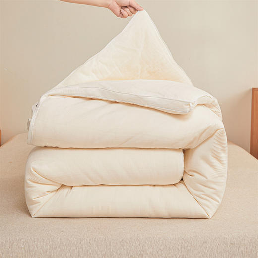 A类母婴级全棉李官奇55%大豆纯棉大豆纤维被春秋加厚冬被 商品图3