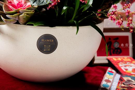 开门见喜 商品图4