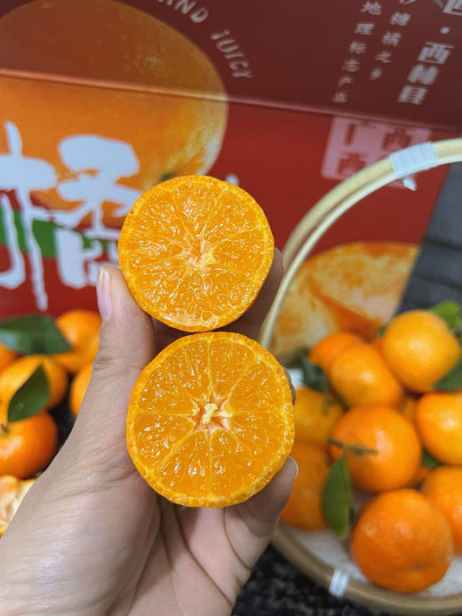 冬日甜心！春节必吃【广西砂糖橘】来自大山深处的美味！清甜多汁 皮薄籽少 小巧玲珑 老人小孩都喜欢 一口一个根本停不下来 商品图2