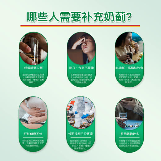 【分销】Jamieson健美生奶蓟浓缩片90片水飞蓟加班熬夜应酬常备 健美生 商品图1