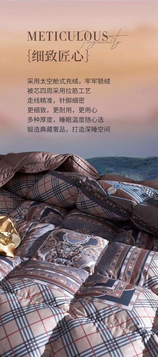 富安娜   匈牙利进口羽绒冬厚被  杰诺斯克 商品图1