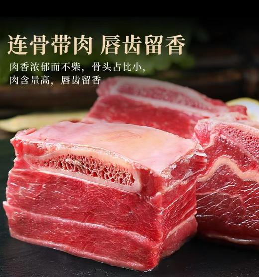 【草原散养 原肉整切 清真品质】东上御品 原切牛寸排2000g*1袋/牛肋排1250g*2袋 商品图2
